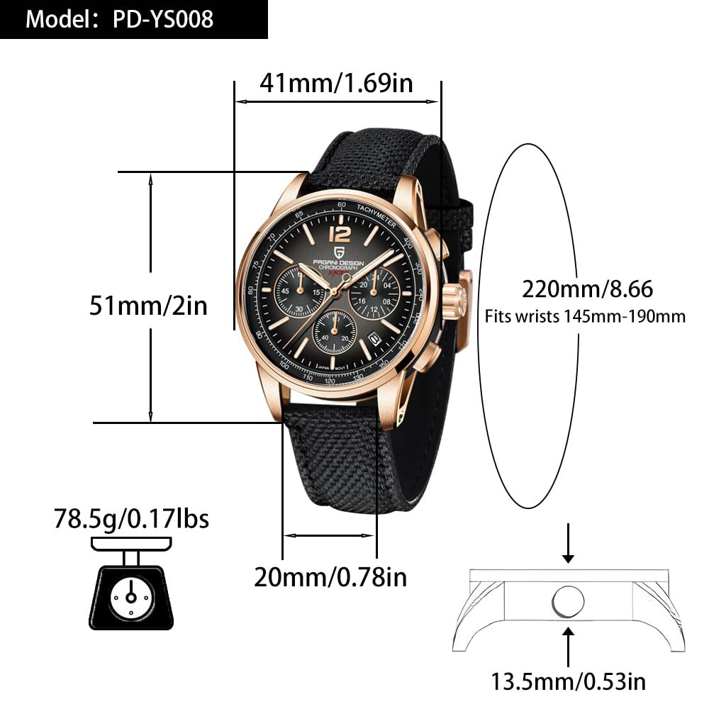 PAGANI DESIGN New Mens Watch 4 - đánh giá và giá Anti-Magnetic Watch